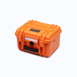 Case_-2717 Case_-2717