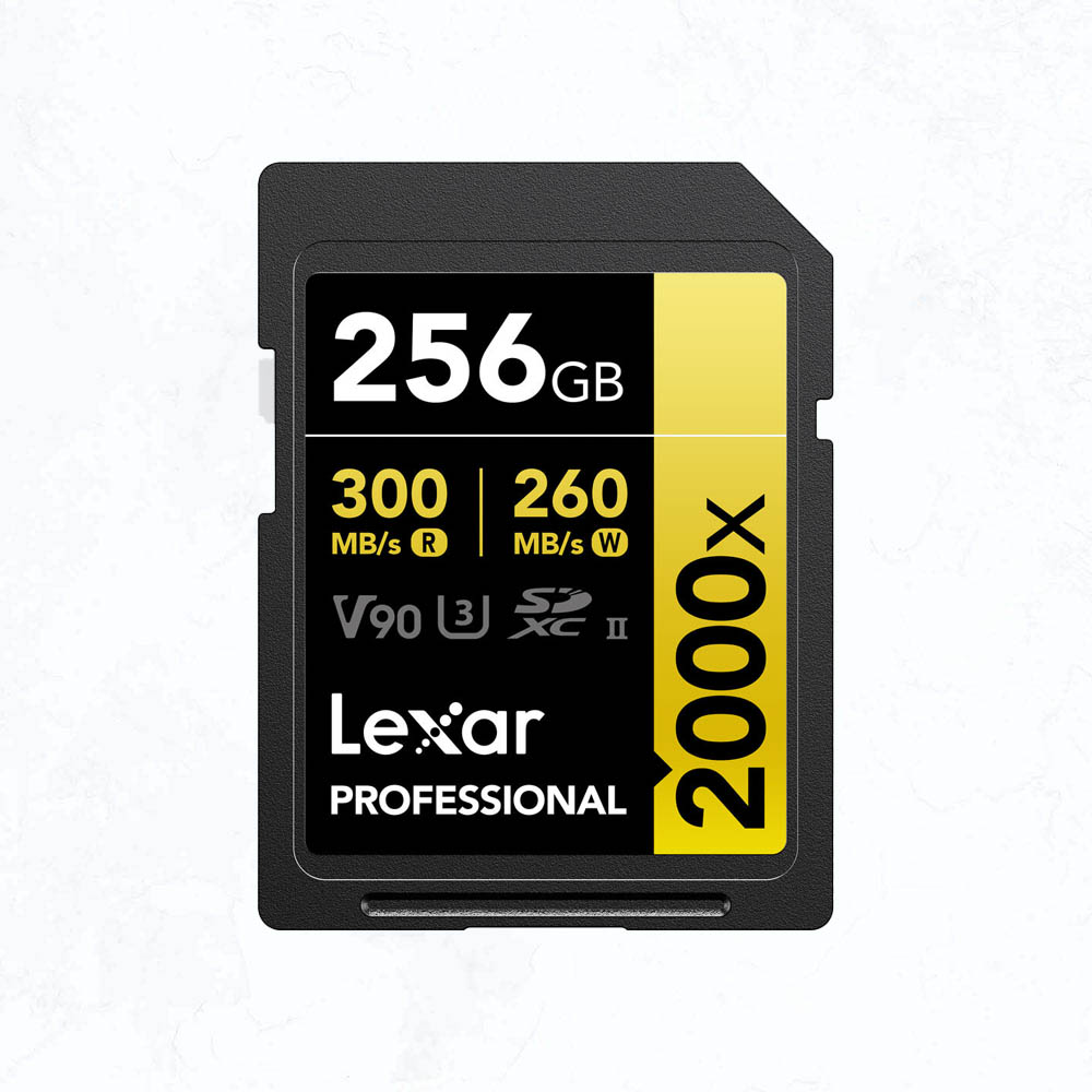 Lexar 256G Lexar 256G